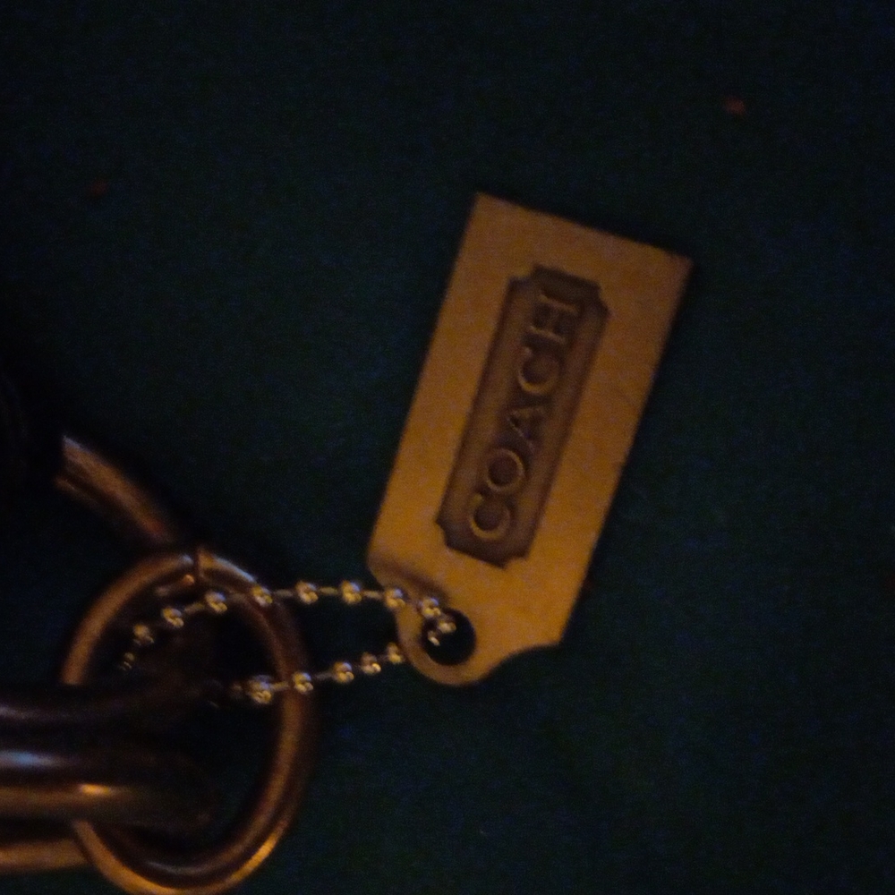 Coach Purse (mint condition)